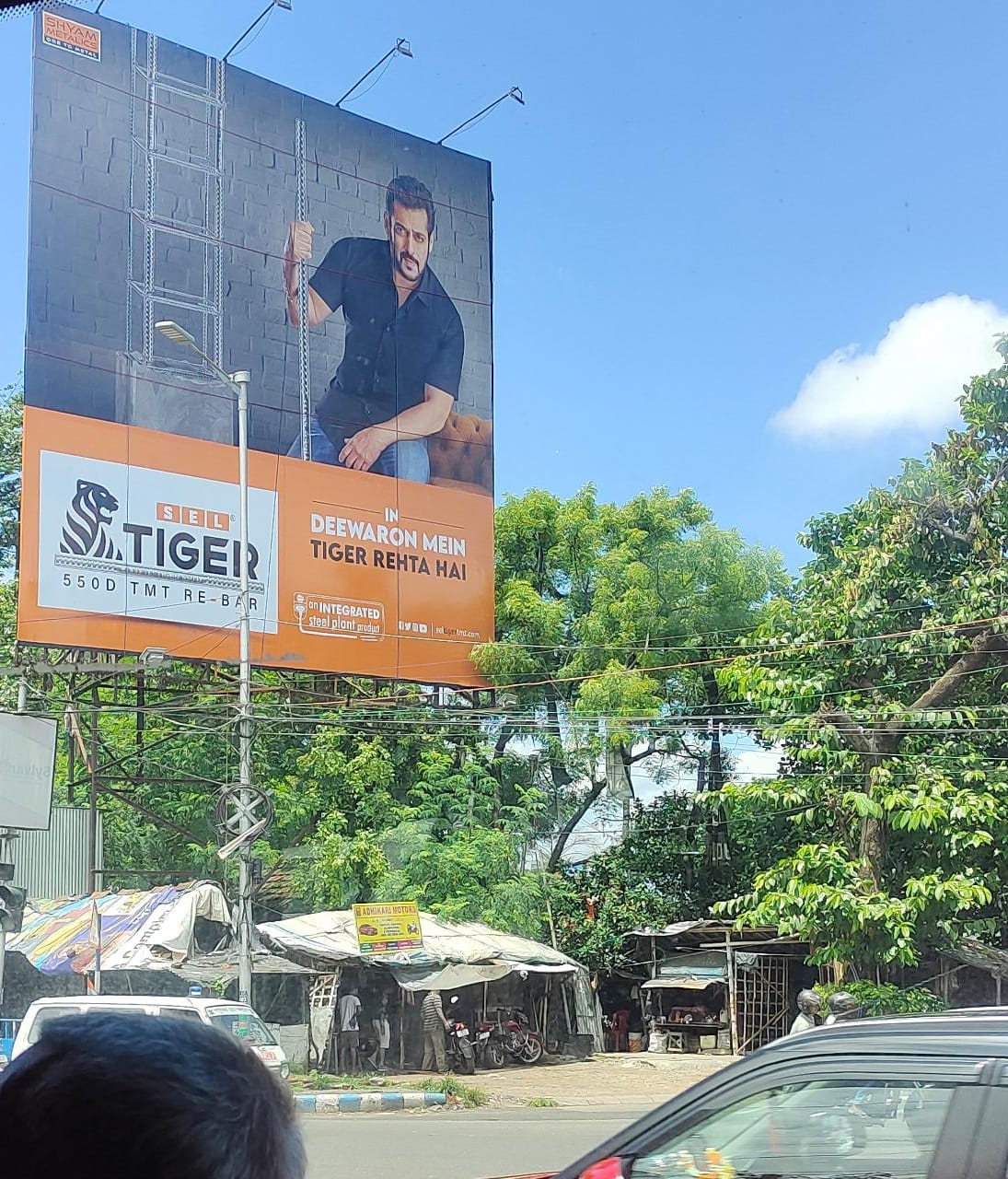 SEL tiger TMT hoarding
