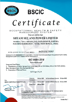 BSCIC Certificate | Shyam SEL And Power Limited